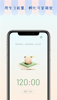 专注崽崽手机下载最新版