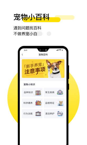 共宠app下载