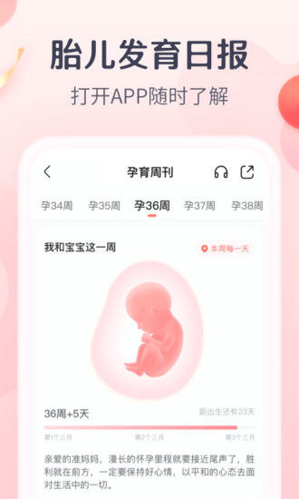 宝宝树孕育app下载