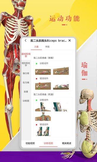 3Dbody解剖手机版