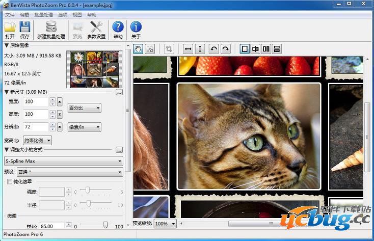 PhotoZoom Pro破解版下载