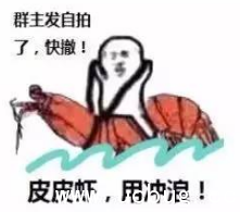 皮皮虾表情包完整版下载