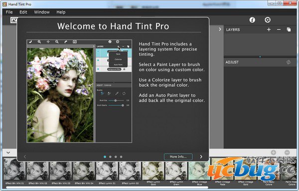 Hand Tint Pro